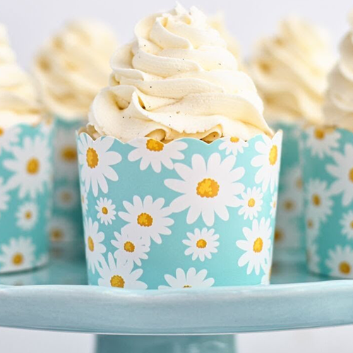 Gluten-Free Vanilla Oat Cupcakes